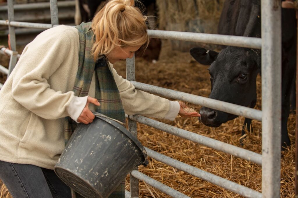 Feed animals food with Zinc Oxide